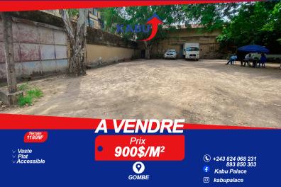 immobilier_vente_location Kabu palace   